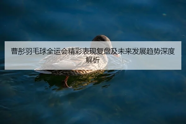 曹彤羽毛球全运会精彩表现复盘及未来发展趋势深度解析 | KAIYUN